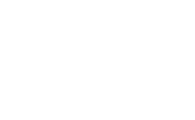 THE NET TRENDS